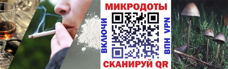 Псилоцибиновые грибы Magic Shrooms  Гаджиево 